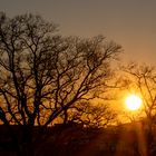 Herrliche Silhouette beim Sonnenuntergang