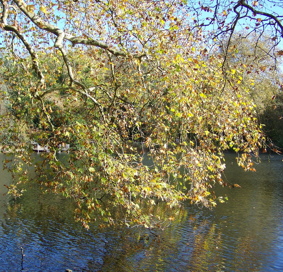 Herrliche Spiegelung 