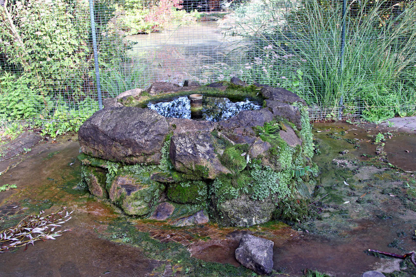Herrliche Teichanlage im Zoo Heidelberg