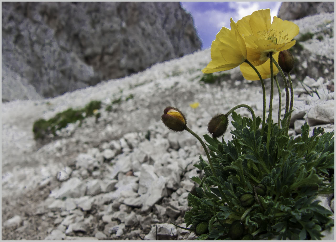 herrliche Wanderwege 2