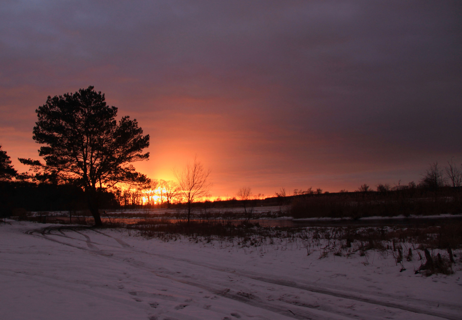 Herrliche Wintersonne