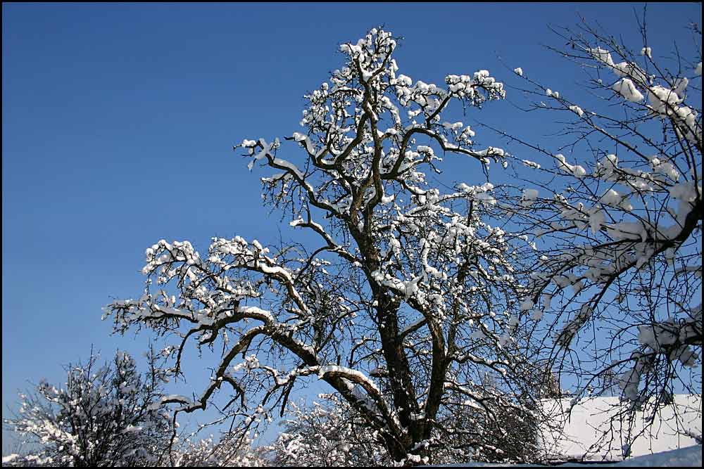 Herrliche Winterzeit ...