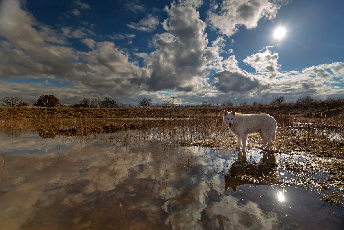 Herrliche Wolkenstimmung ...