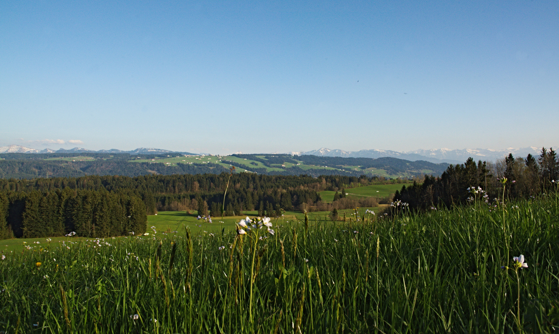 Herrlicher Ausblick gegen Abend