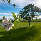 Herrlicher Frühlingstag