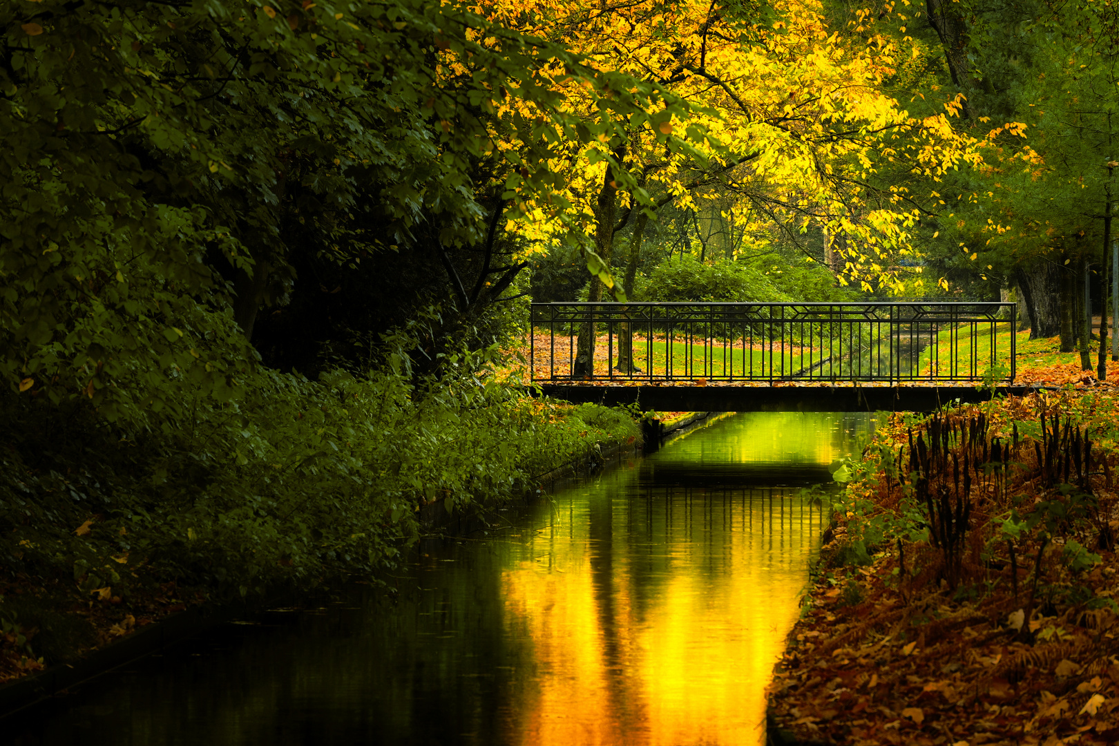 Herrlicher Herbst