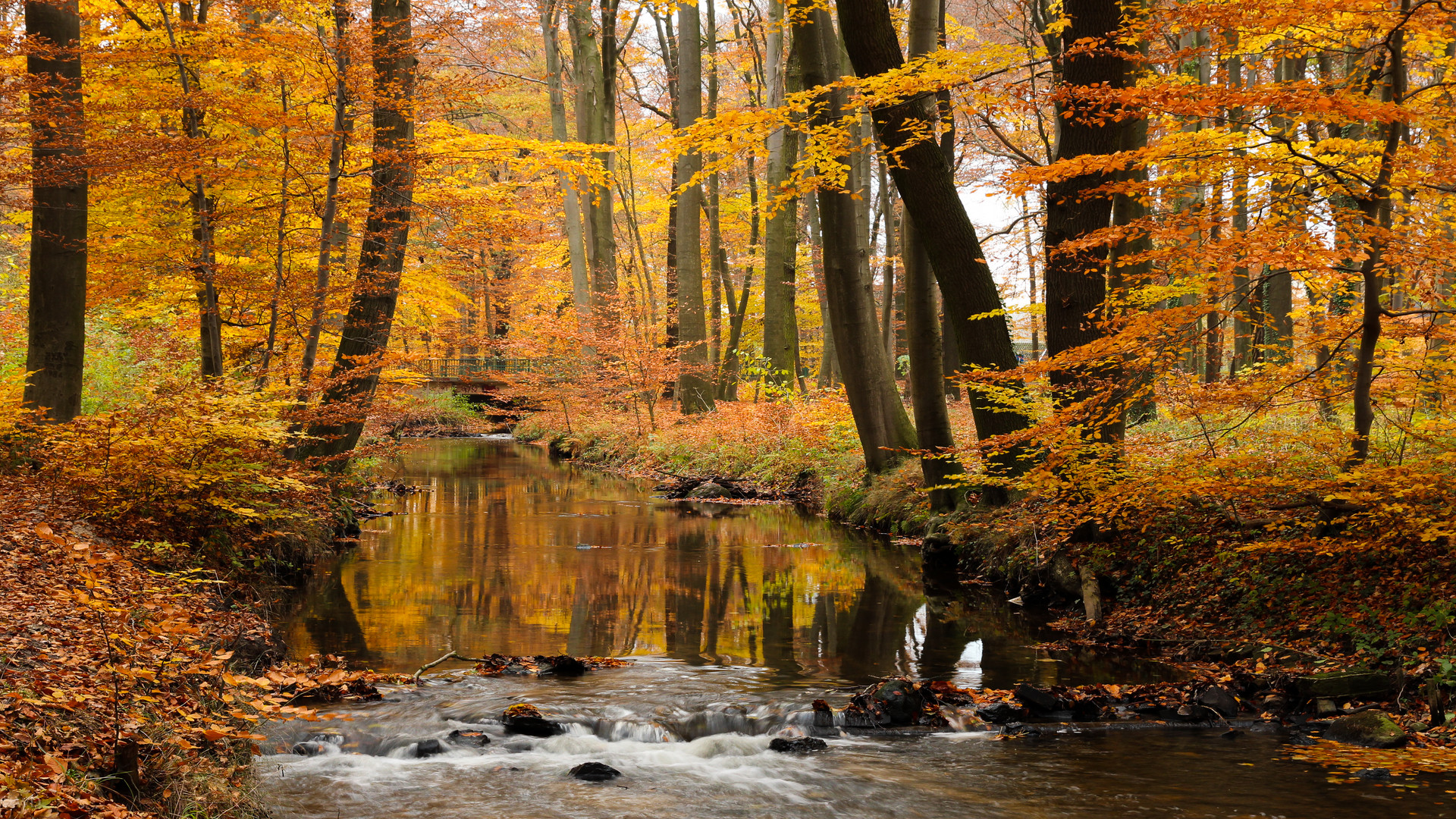 Herrlicher Herbst!...