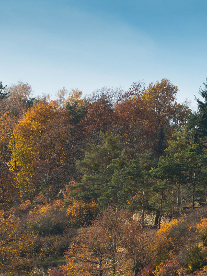 Herrlicher Herbst