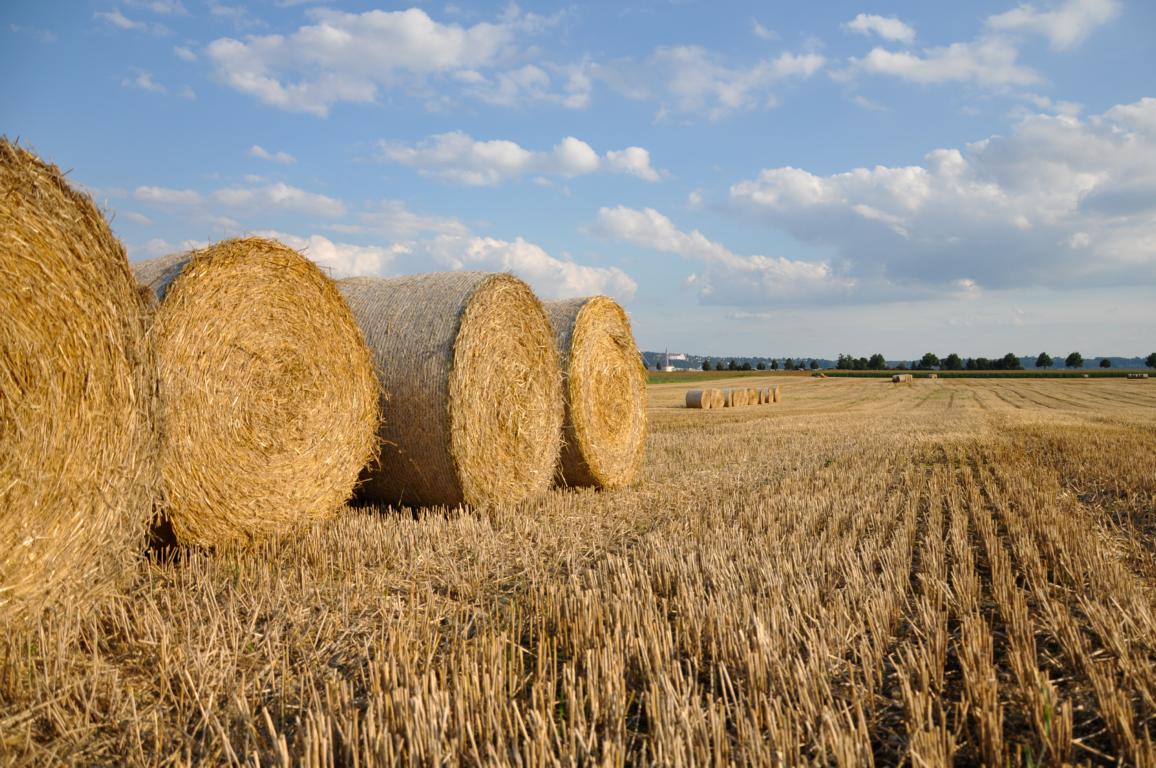 Herrlicher Herbst