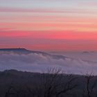 Herrlicher Januarmorgen für meine Wünsche und Blick zum Hohen Schneeberg...