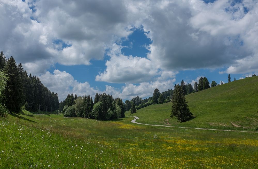 Herrlicher Jura