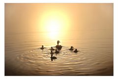 Herrlicher Morgen am Waldschacher See