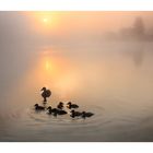 Herrlicher Morgen am Waldschacher See (2)