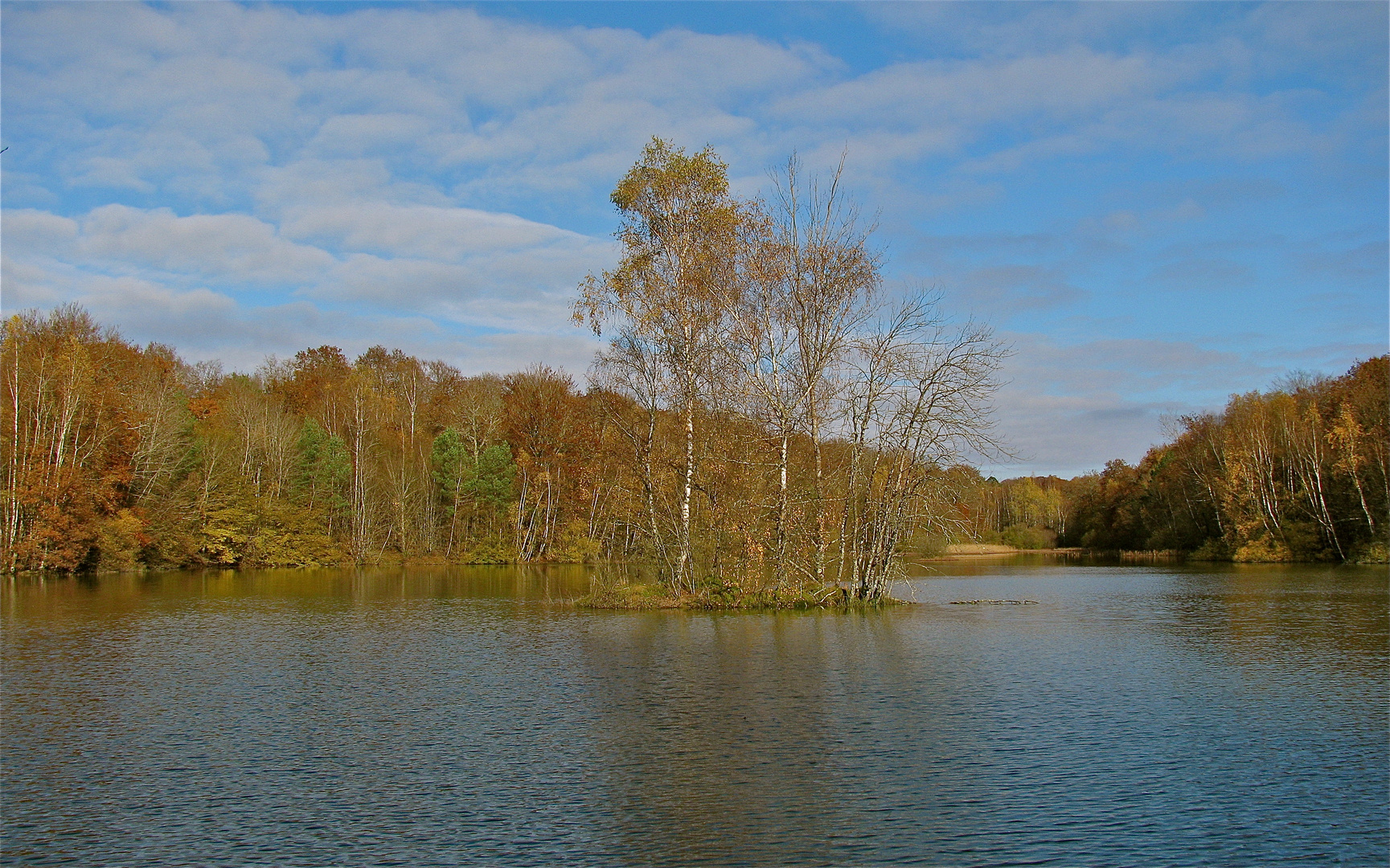 ...HERRLICHER NOVEMBER !!!...