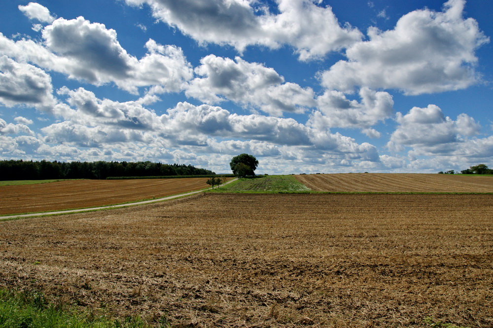 Herrlicher Sommertag auf der Schwäbischen Alb