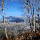 herrlicher Sonnenschein und eisige Kälte