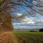 Herrlicher Spätherbst mit Blick auf das Eichsfeld und den Rusteberg