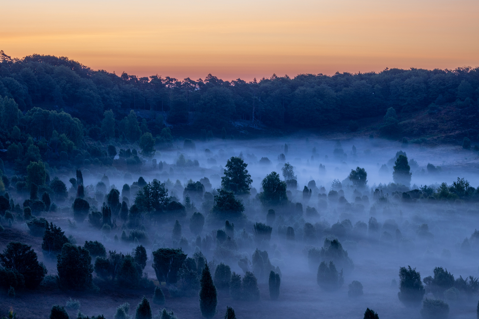 Herrlicher Start in den Tag am Totengrund in der Lüneburger Heide