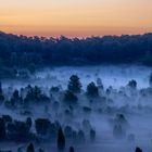 Herrlicher Start in den Tag am Totengrund in der Lüneburger Heide