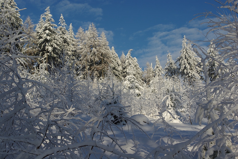 Herrlicher Winter heute!