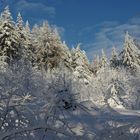 Herrlicher Winter heute!