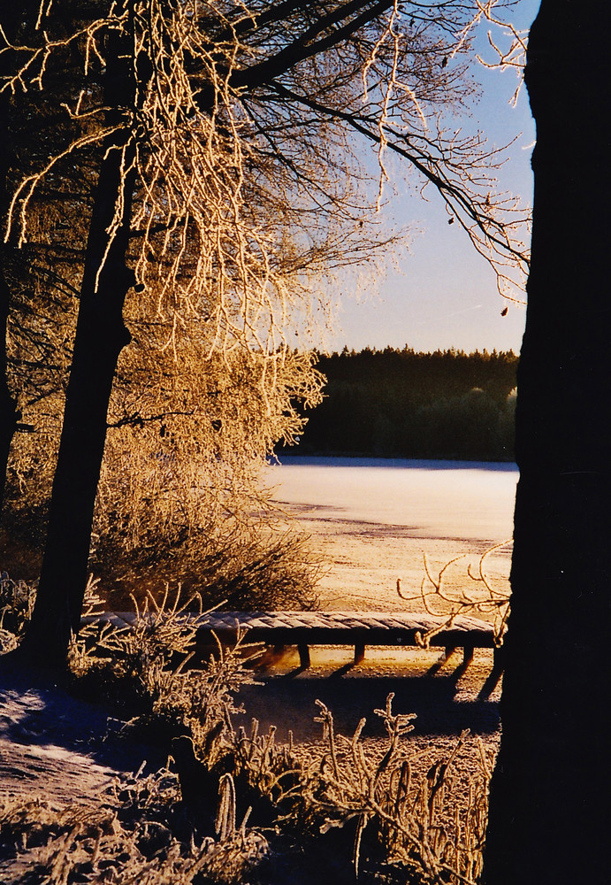 Herrlicher Wintermorgen am Teich von ChristaF 