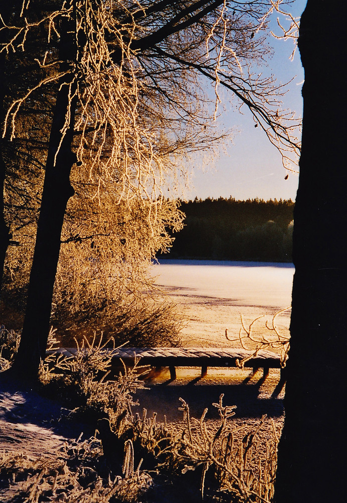 Herrlicher Wintermorgen am Teich