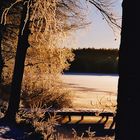 Herrlicher Wintermorgen am Teich