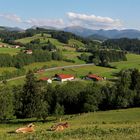 Herrliches Allgäu