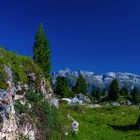 Herrliches Bergwetter