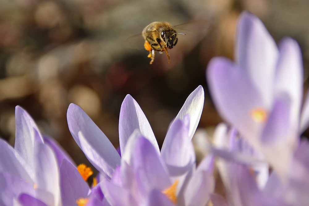 herrliches "Flug-Wetter"