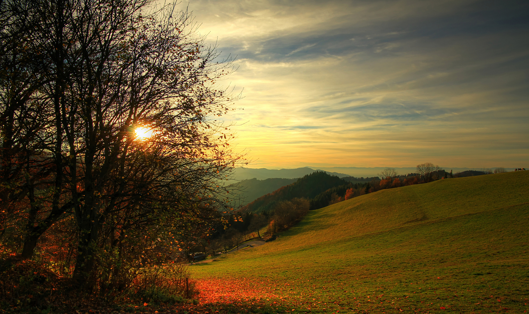 Herrliches Herbstwetter auf der Schwarzwaldhöhe