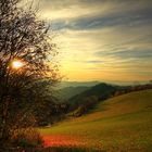 Herrliches Herbstwetter auf der Schwarzwaldhöhe