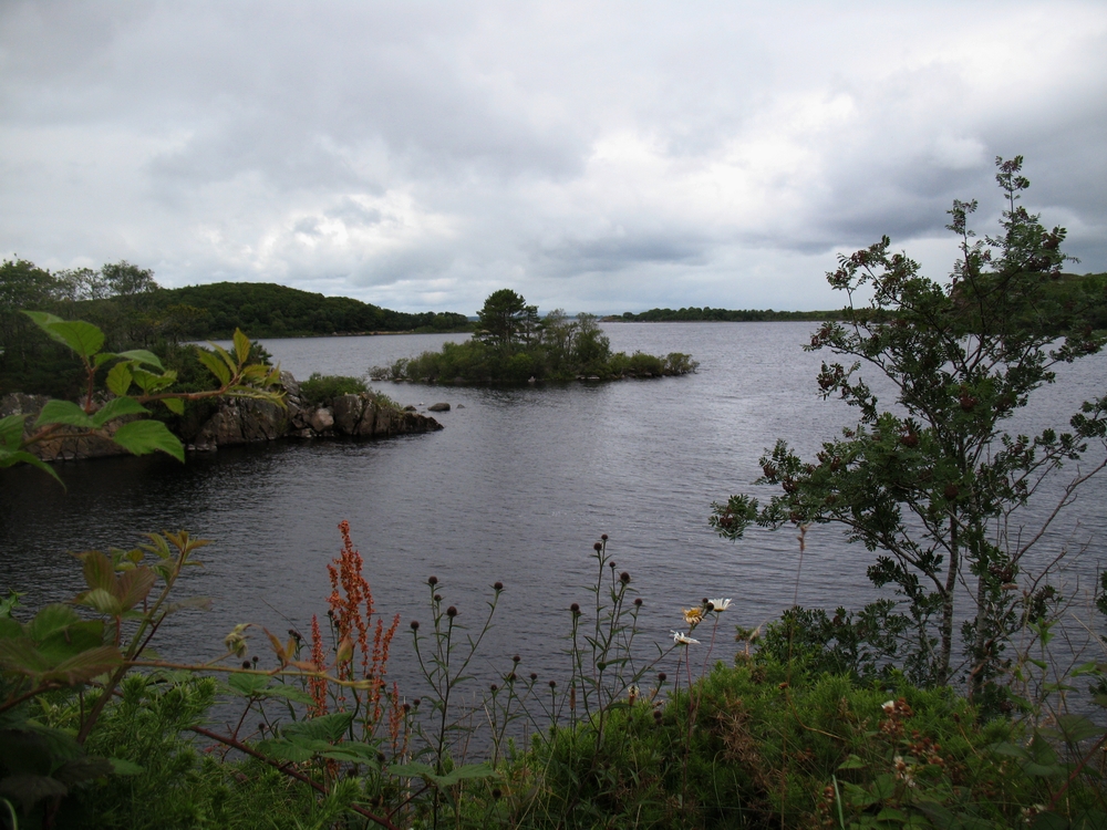 - Herrliches Irland - ( Angelurlaub Juli 2012 )