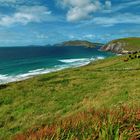 Herrliches Irland I