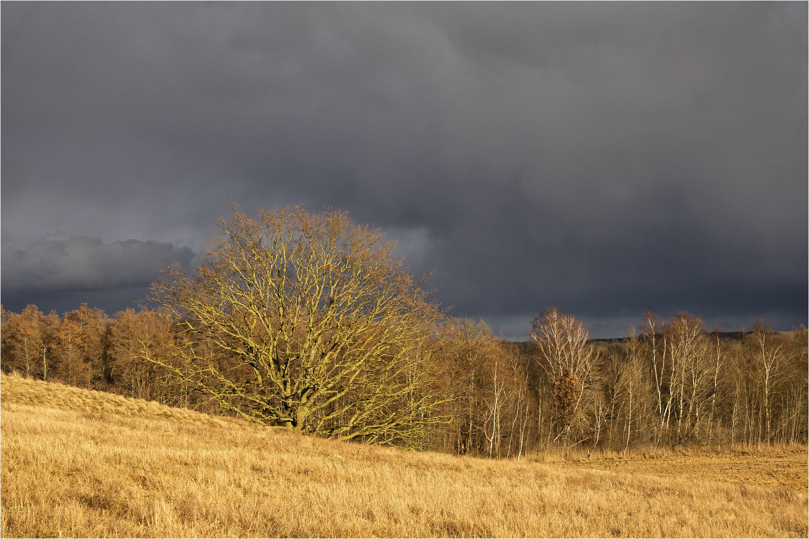 Herrliches Licht..