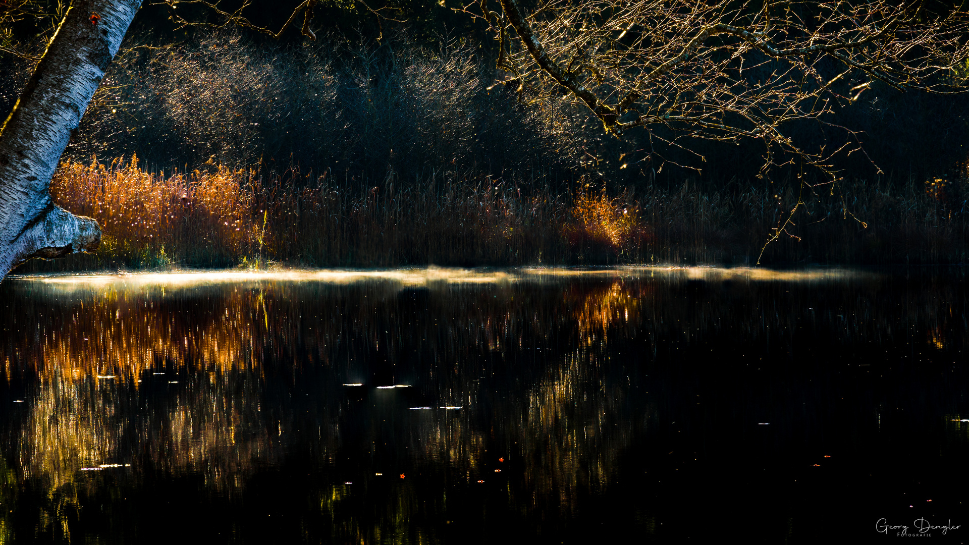 Herrliches Morgenlicht an einem Weiher 