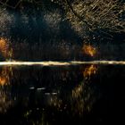 Herrliches Morgenlicht an einem Weiher 