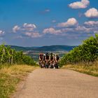 Herrliches Radsportwetter