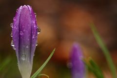 "Herrliches Regenwetter"