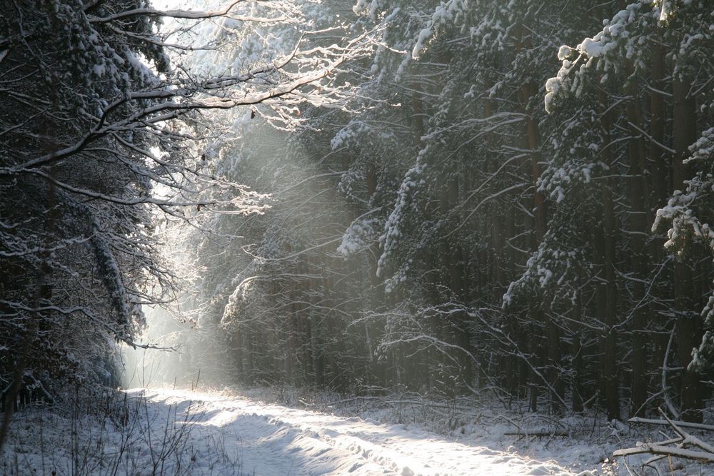 Herrliches Sonnenlicht bei -10°C