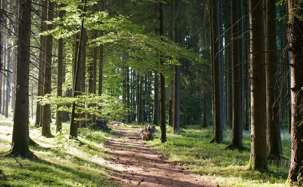 herrliches Sonnenwetter