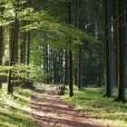 herrliches Sonnenwetter