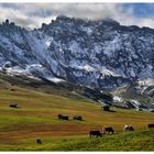 Herrliches Südtirol