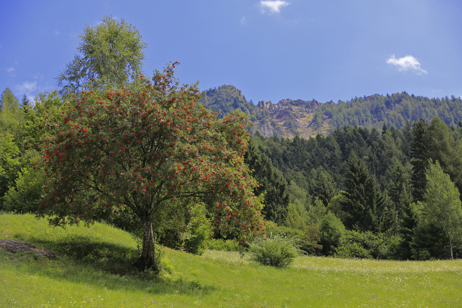 Herrliches Südtirol