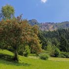 Herrliches Südtirol