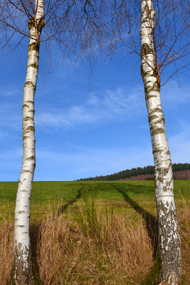 Herrliches Wetter