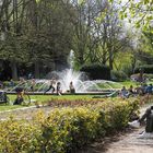 Herrliches Wetter - Ansturm auf den Rostocker Rosengarten