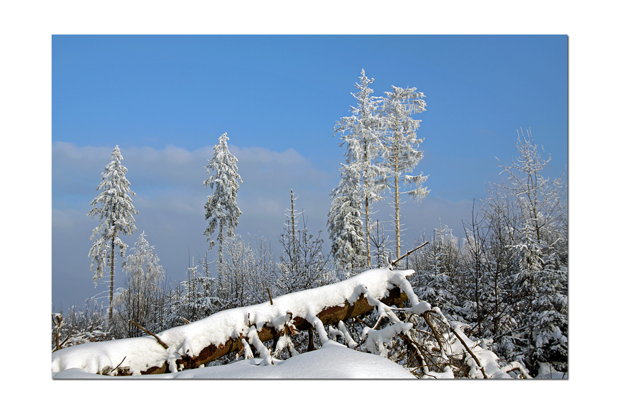 Herrliches Winterwetter