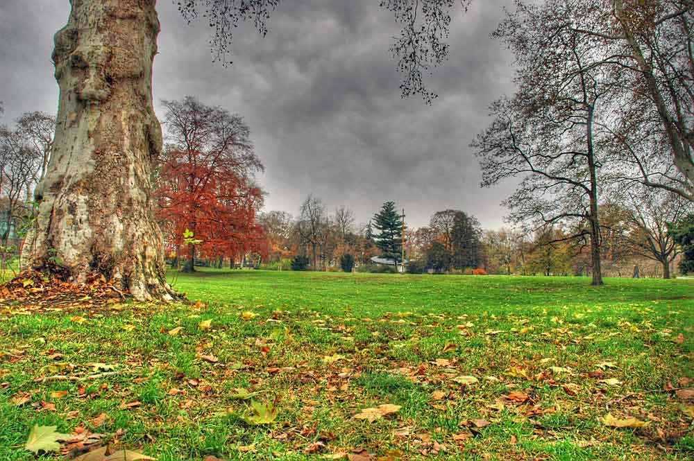 Herrngarten in Darmstadt